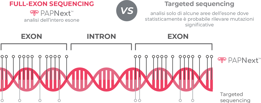 Next Generation Sequencing (NGS)