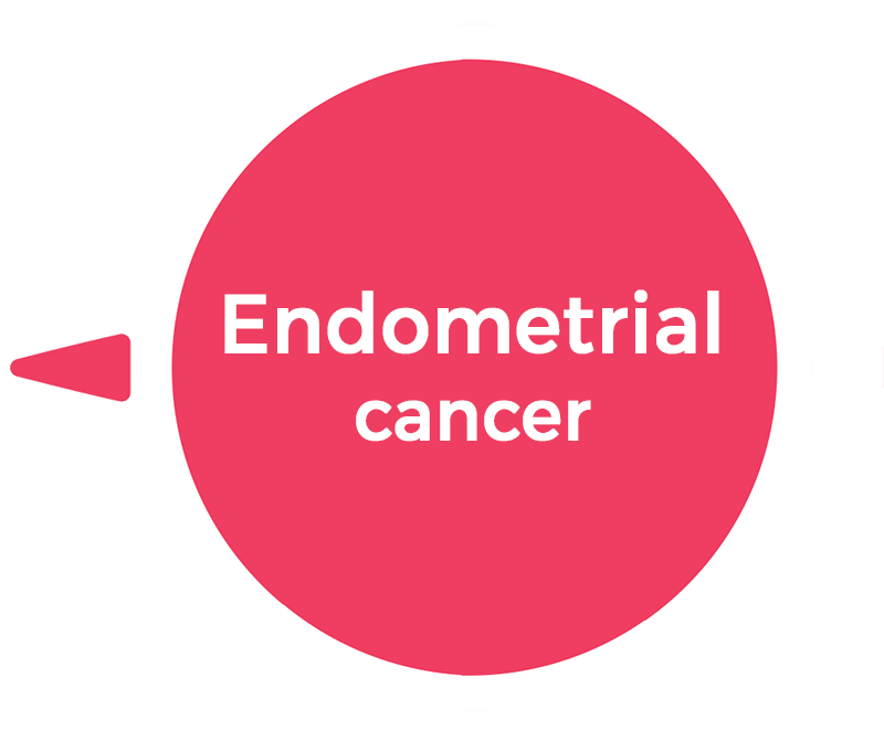 endometrium cancer